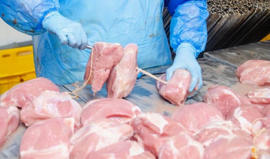The Rise of 'Clean Meat' and the End of the Factory Farm