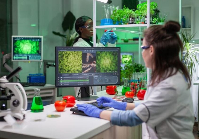 Why the Next Breakthrough in Computing Will Come From Fungi