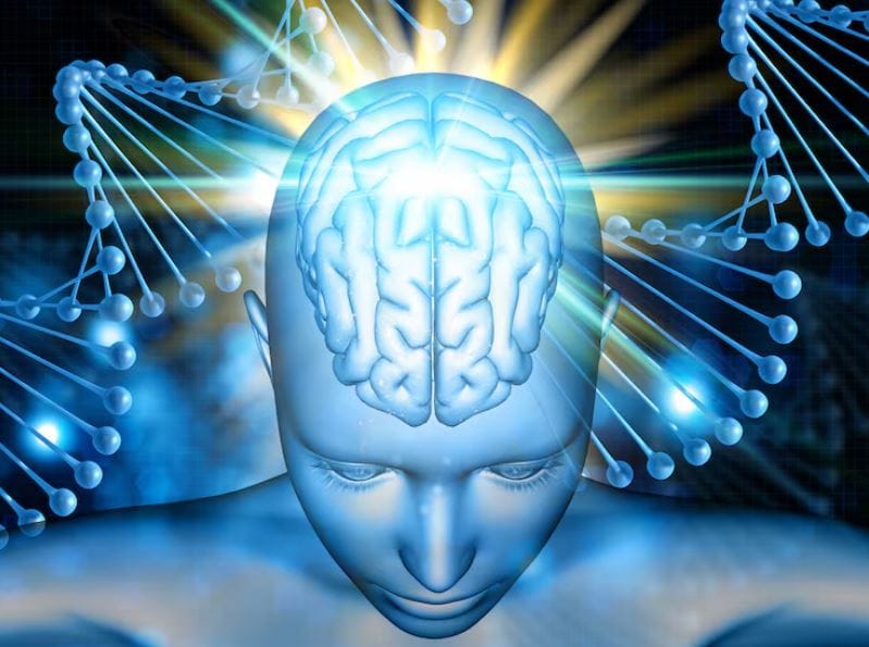 A Pocket-Sized AI Brain Built With Monkey Neurons Shocks Scientists
