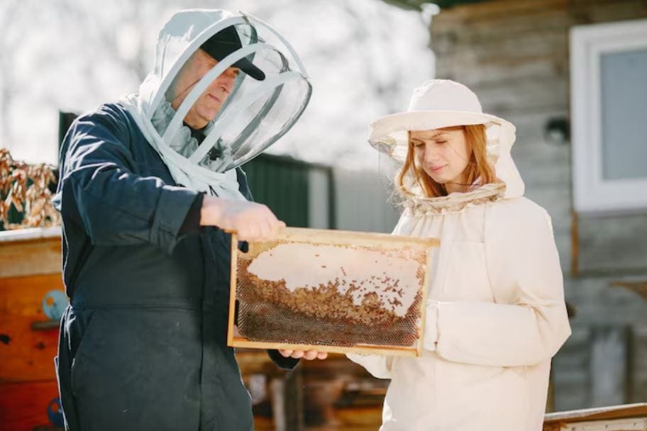The Robotic Pollinators Designed to Survive a Post-Bee World