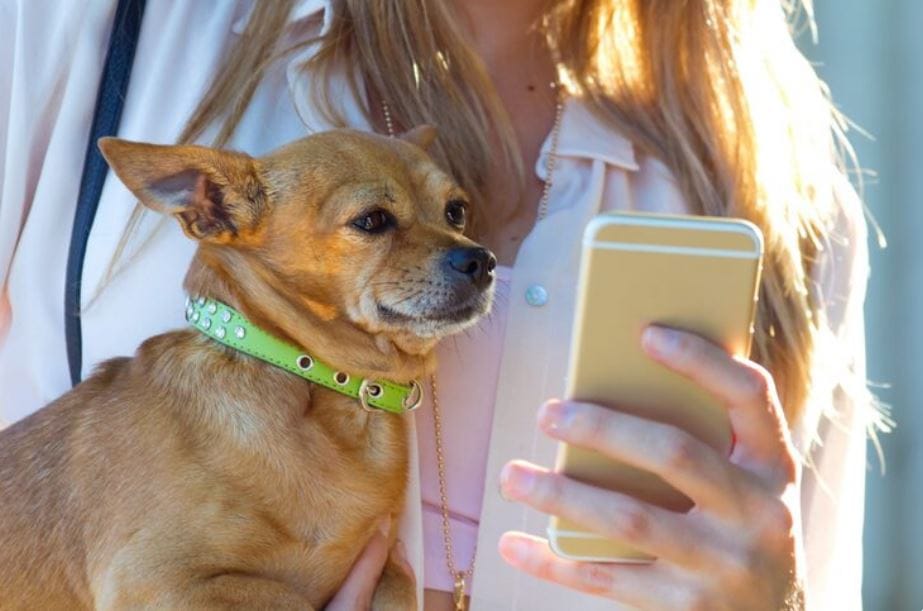 Why the Tech Industry is Designing $1000 Smartphones Exclusively for Pets